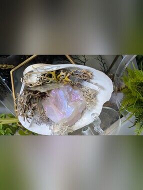 Aura Quartz, Selenite Crystal & Artificial Moss in Seashell (stand Included)